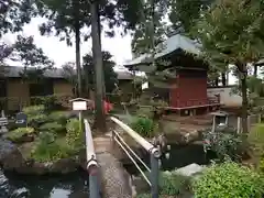 善導寺の建物その他