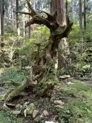 御岩神社(茨城県)