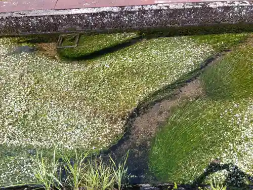 小烏神社(福井県)