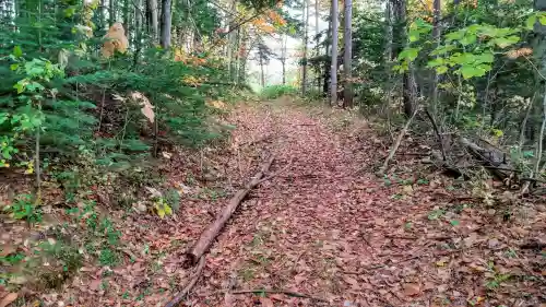 沼崎神社の周辺