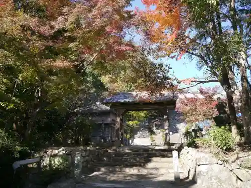 実相院の山門