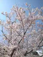 天御柱神社の周辺