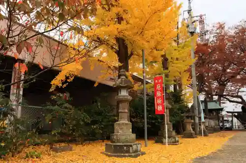 阿邪訶根神社の庭園