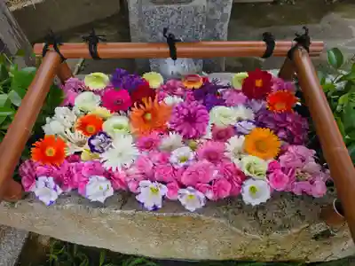 田間神社(千葉県)