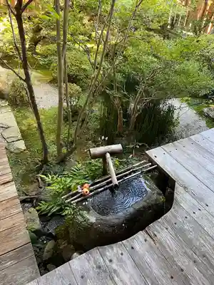 宝泉院(京都府)
