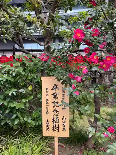 豊川稲荷東京別院(東京都)