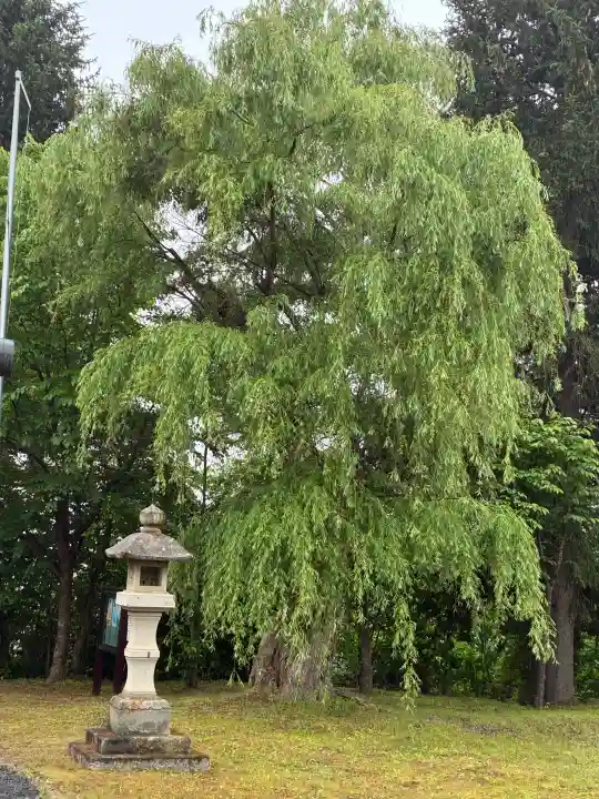 留辺蘂神社(北海道)