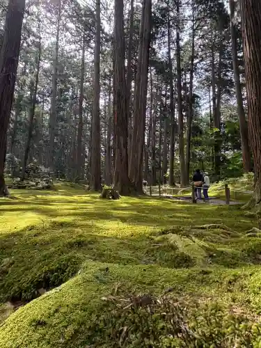 平泉寺白山神社(福井県)