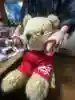 銀太郎さんのプロフィール画像