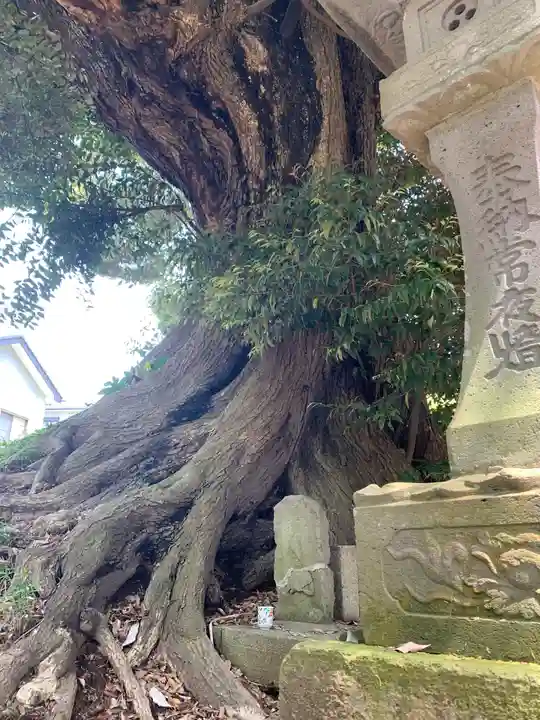上下諏訪神社の自然