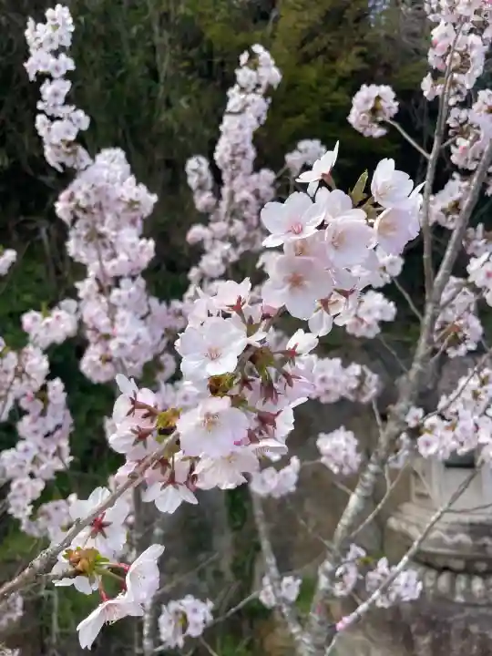 釣石神社の{uncategorized: "未分類", other: "その他", undefined: "問題あり", building: "その他建物", grave: "お墓", sacred_gate: "鳥居", guardian: "狛犬", statue: "像", buddha: "仏像", history: "歴史", nature: "自然", garden: "庭園", animal: "動物", pagoda: "塔", temizu: "手水舎", mountain_gate: "山門・神門", sanctuary: "本殿・本堂", subordinate: "末社・摂社", art: "芸術", scenery: "景色", jizo: "地蔵", ema: "絵馬", goshuin: "御朱印", omikuji: "おみくじ", items: "授与品その他", amulet: "お守り", goshuincho: "御朱印帳", eats: "食事", festival: "お祭り", votive_dance: "神楽", shichigosan: "七五三参", wedding: "結婚式", experience: "体験その他", initially: "初詣", around: "周辺", anti_infection: "感染症対策"}
