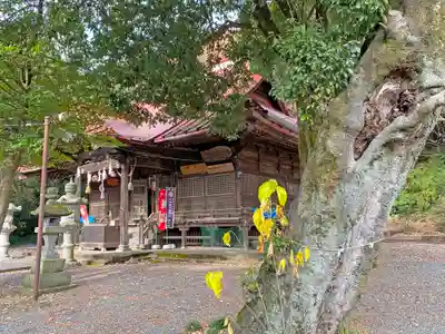 阿豆佐味天神社の自然