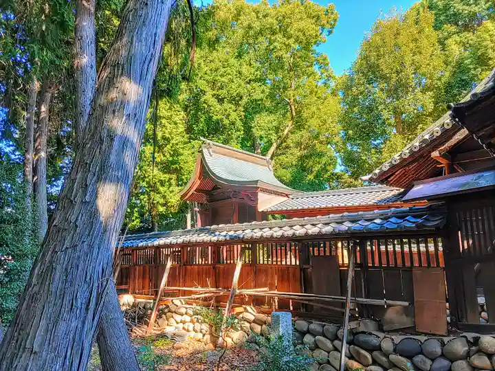 八所神社(八所社)の本殿・本堂
