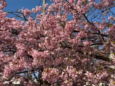 三嶋大社(静岡県)