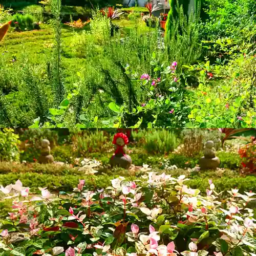 寿量山　速成寺の自然