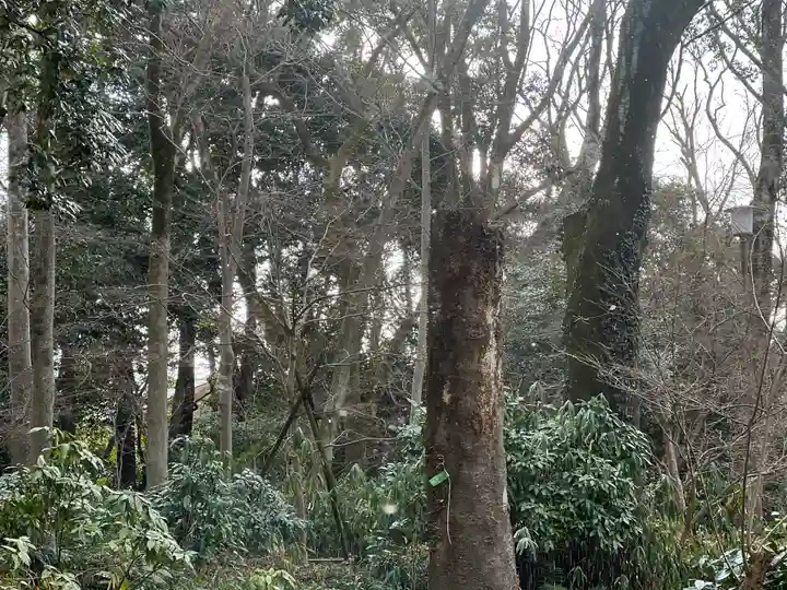 賀茂御祖神社(下鴨神社)の周辺