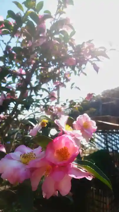 岐阜稲荷山本社の自然