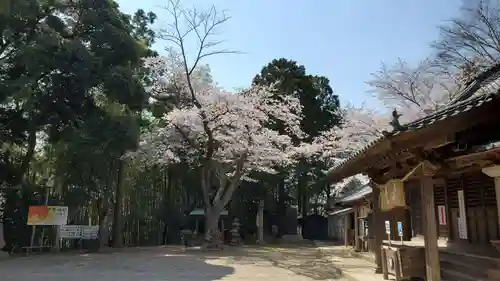 竹内神社の自然