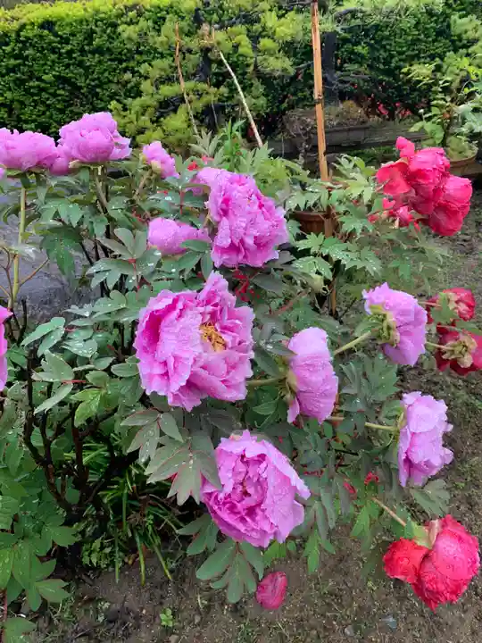 鹿股神社遥拝殿(福島県)
