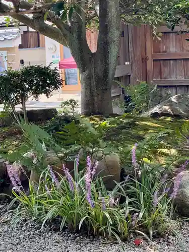 新德禅寺 (新徳寺)(京都府)