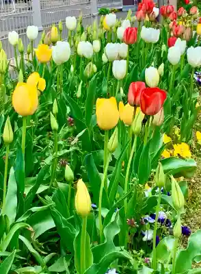 和光神社(宮城県)