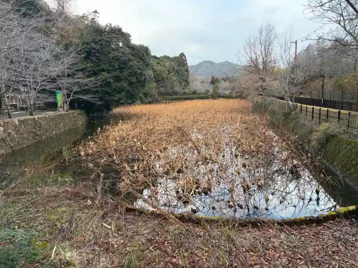 御髪神社の{uncategorized: "未分類", other: "その他", undefined: "問題あり", building: "その他建物", grave: "お墓", sacred_gate: "鳥居", guardian: "狛犬", statue: "像", buddha: "仏像", history: "歴史", nature: "自然", garden: "庭園", animal: "動物", pagoda: "塔", temizu: "手水舎", mountain_gate: "山門・神門", sanctuary: "本殿・本堂", subordinate: "末社・摂社", art: "芸術", scenery: "景色", jizo: "地蔵", ema: "絵馬", goshuin: "御朱印", omikuji: "おみくじ", items: "授与品その他", amulet: "お守り", goshuincho: "御朱印帳", eats: "食事", festival: "お祭り", votive_dance: "神楽", shichigosan: "七五三参", wedding: "結婚式", experience: "体験その他", initially: "初詣", around: "周辺", anti_infection: "感染症対策"}
