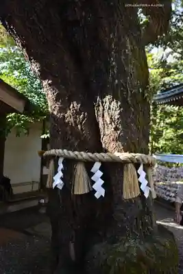 座間神社(神奈川県)