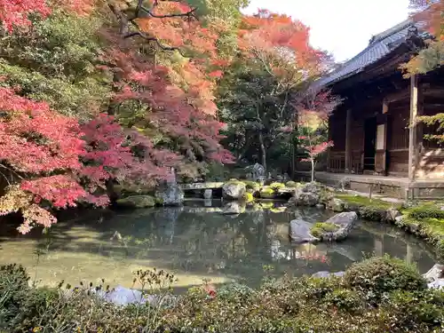 蓮華寺（洛北蓮華寺）の庭園