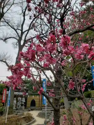 中野沼袋氷川神社(東京都)