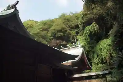 洲崎神社の本殿・本堂