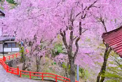 金櫻神社(山梨県)