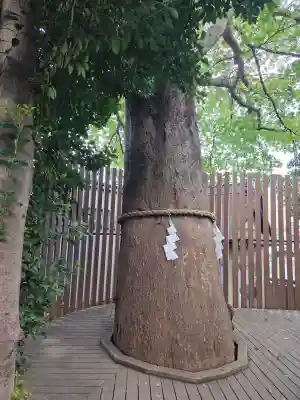 鎮守氷川神社の{uncategorized: "未分類", other: "その他", undefined: "問題あり", building: "その他建物", grave: "お墓", sacred_gate: "鳥居", guardian: "狛犬", statue: "像", buddha: "仏像", history: "歴史", nature: "自然", garden: "庭園", animal: "動物", pagoda: "塔", temizu: "手水舎", mountain_gate: "山門・神門", sanctuary: "本殿・本堂", subordinate: "末社・摂社", art: "芸術", scenery: "景色", jizo: "地蔵", ema: "絵馬", goshuin: "御朱印", omikuji: "おみくじ", items: "授与品その他", amulet: "お守り", goshuincho: "御朱印帳", eats: "食事", festival: "お祭り", votive_dance: "神楽", shichigosan: "七五三参", wedding: "結婚式", experience: "体験その他", initially: "初詣", around: "周辺", anti_infection: "感染症対策"}