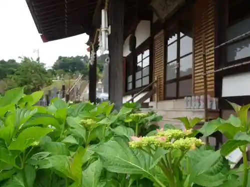 伊勢原 法泉寺の自然