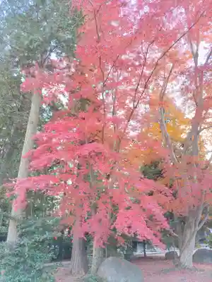 塩竈神社(栃木県)