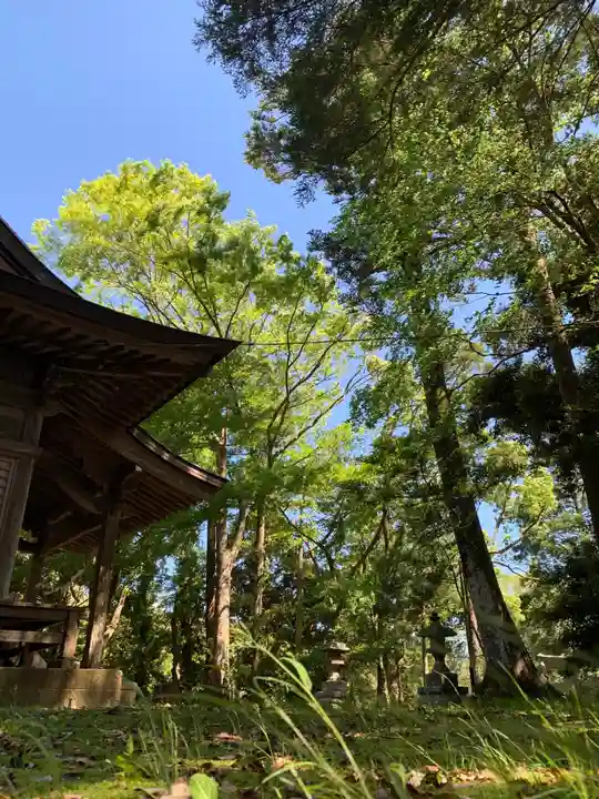 稲荷神社(千葉県)
