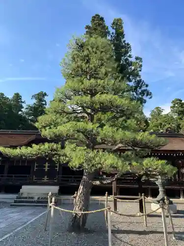 多賀大社(滋賀県)