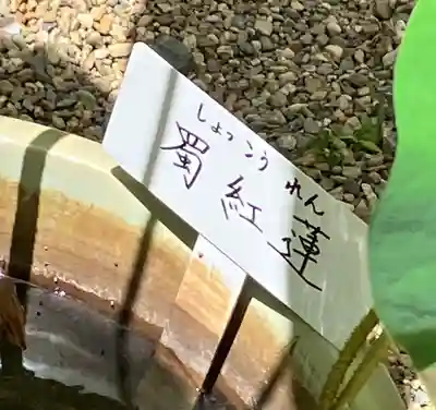 生田神社(兵庫県)