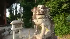 熊野神社の狛犬