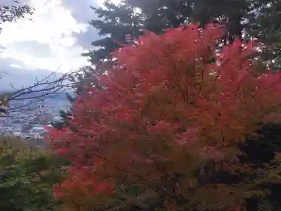 新倉富士浅間神社(山梨県)