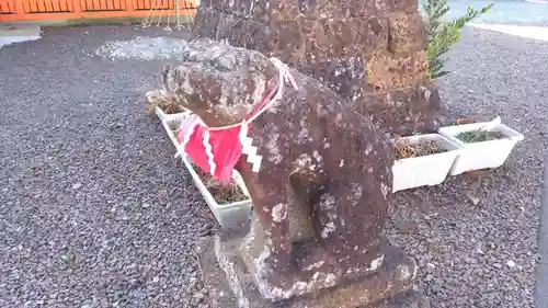 熊野那智神社の狛犬