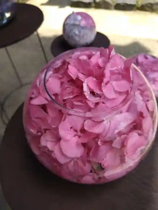 般若寺 ❁コスモス寺❁(奈良県)