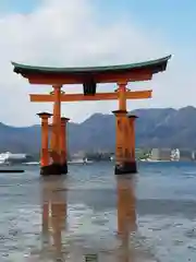 厳島神社の鳥居