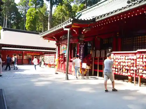 箱根神社の本殿・本堂