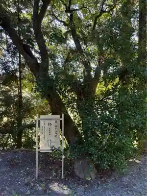 高木神社(福島県)