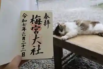 梅宮大社の御朱印 2025年06月