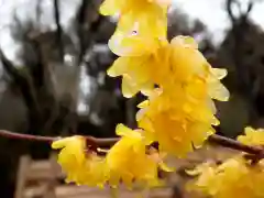 石稲荷神社の自然