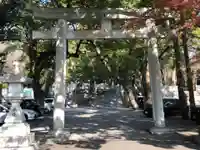 大麻比古神社の鳥居