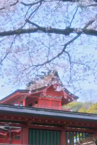 富士山本宮浅間大社(静岡県)