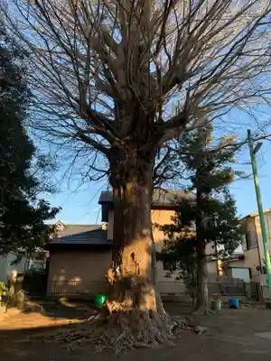 天照神社(千葉県)