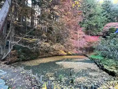 安楽寺(長野県)